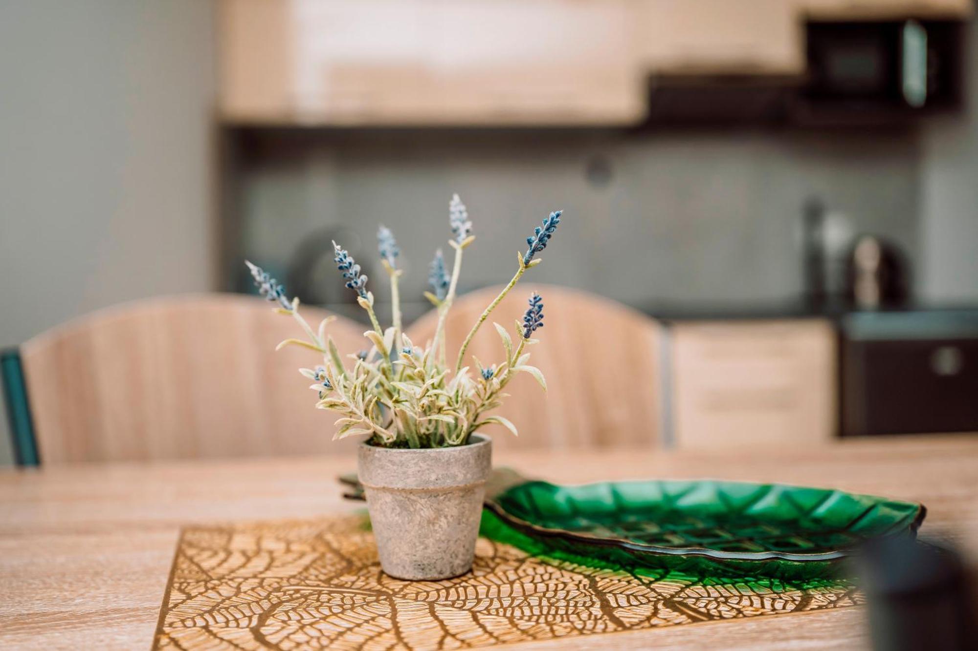 Apartamenty Majer ليبا المظهر الخارجي الصورة